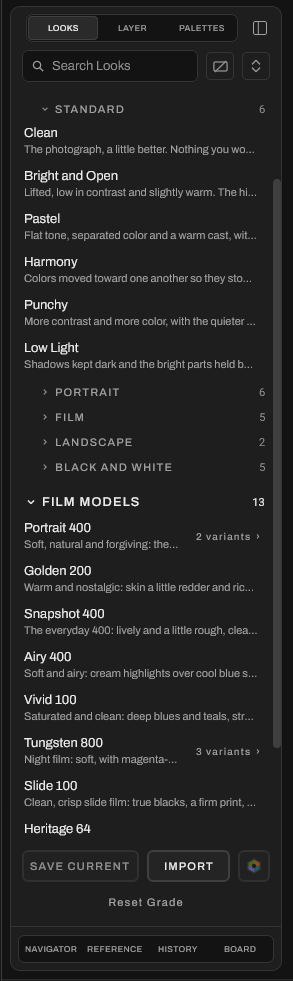 The Looks pane: Standard Looks such as Clean, Bright and Open, Pastel, and Low Light, then film models including Portrait 400, Golden 200, Tungsten 800, and Slide 100.